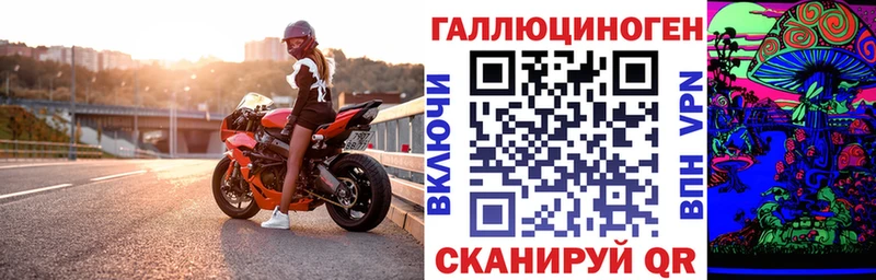 Псилоцибиновые грибы Cubensis  Волжский 